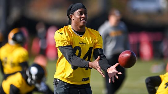 With Fitzpatrick likely out, onus falls on Edmunds to make plays taken on the South Side (Steelers)